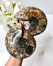 Load image into Gallery viewer, Ammonite with Wooden Stand